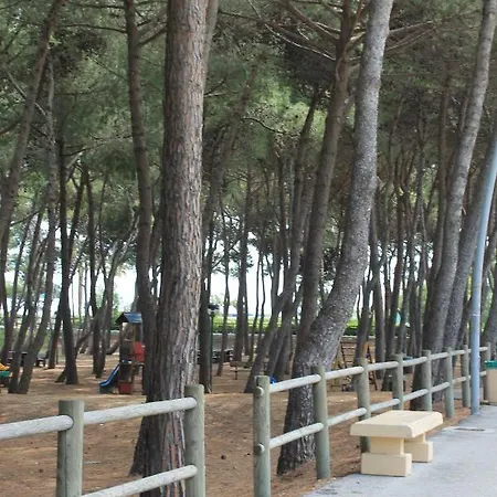 Apartment Alba Sul Mare *