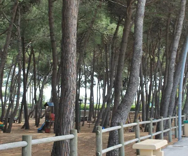 Apartman Alba Sul Mare *